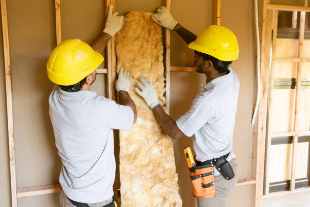 Best Local Insulation Services  in Batavia, OH