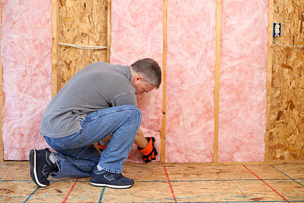 Best Garage Insulation Installation  in Batavia, OH